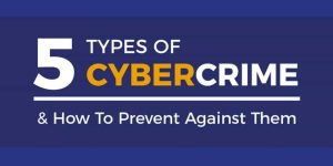 5 Types of Cybercrimes